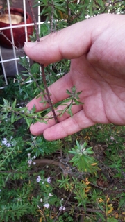 20160527182912236.jpg